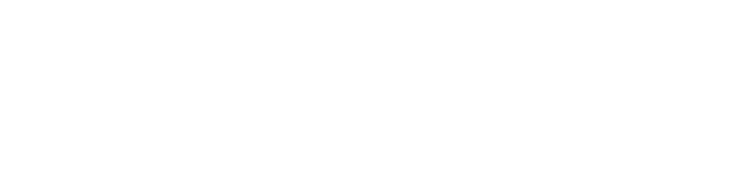 Runyourcity Budapest Magazin